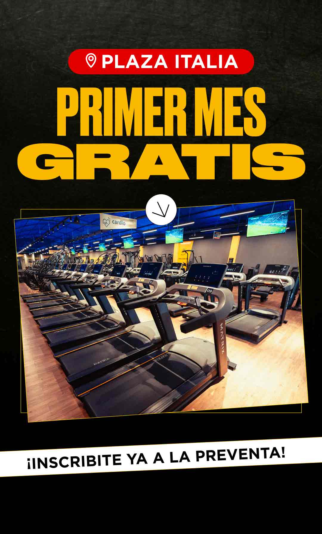 PRIMER MES GRATIS | PROMO EXCLUSIVA PRE VENTA